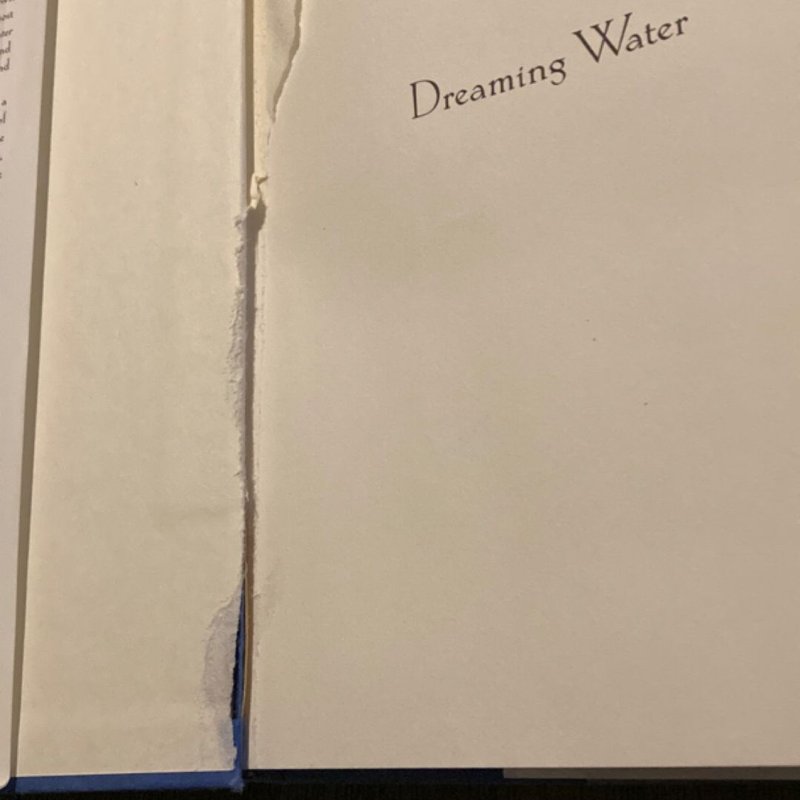 Dreaming Water