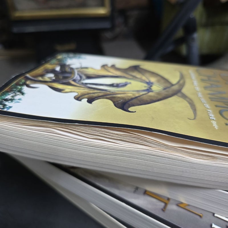 The age of fire books