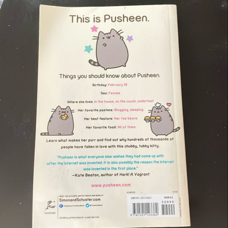 I am Pusheen the Cat