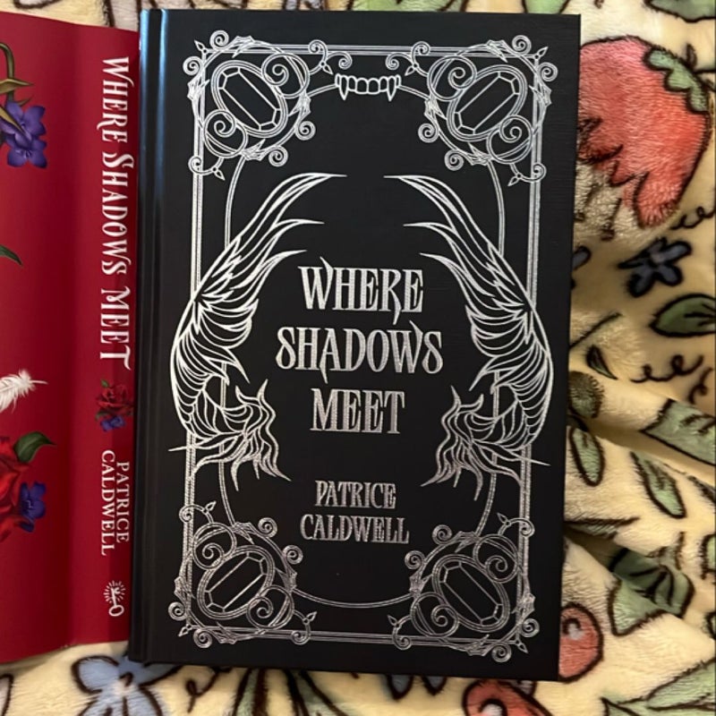 Where Shadows Meet