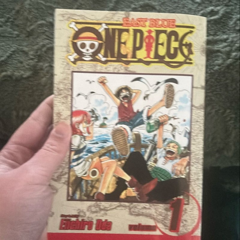 One Piece, Vol. 1