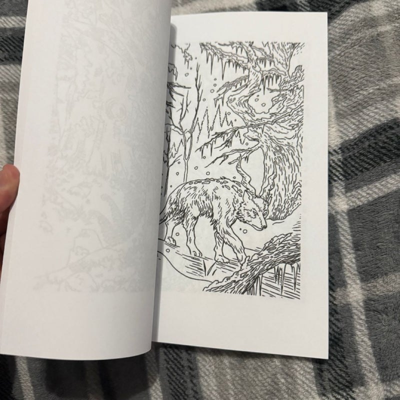 A Court of Thorns and Roses Coloring Book