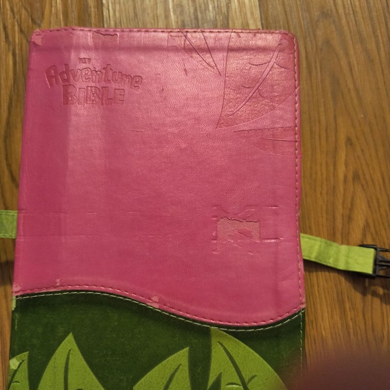 Adventure Bible