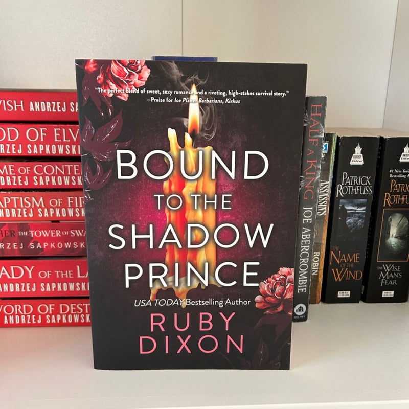 Bound to the Shadow Prince