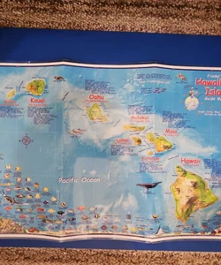 Franko's HAWAIIAN ISLANDS Laminated Wall Guide Map