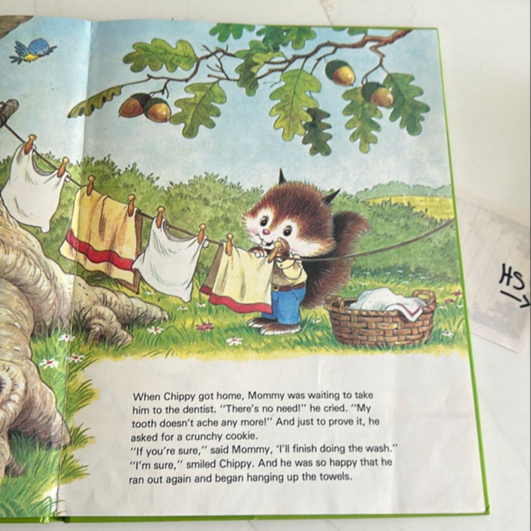 Chippy Goes to the Dentist by Carruth, Hardcover | Pangobooks