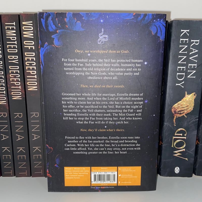 What Lies Beyond the Veil by Harper L. Woods, Paperback | Pangobooks
