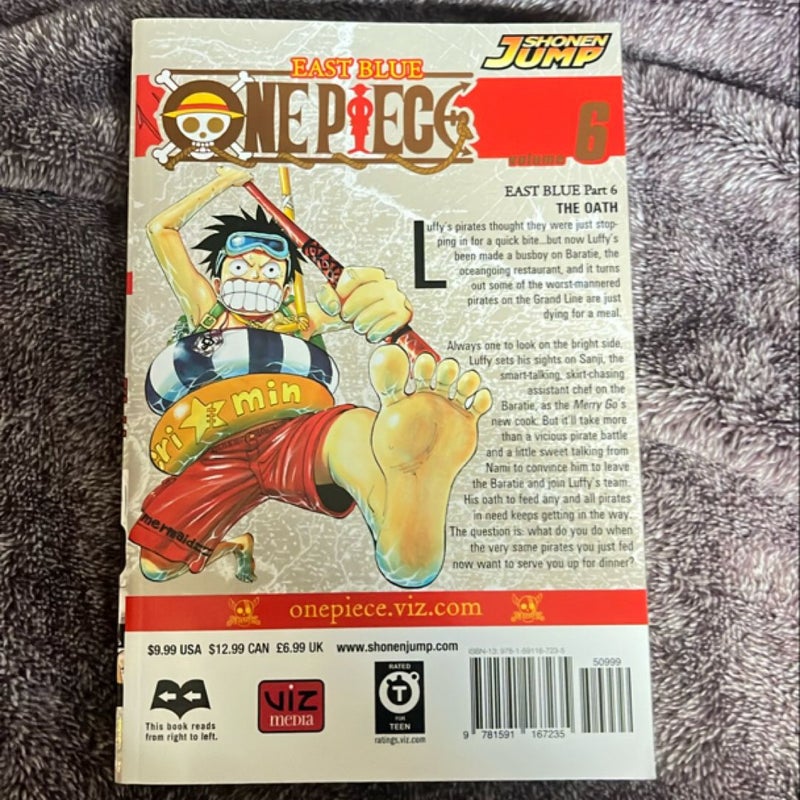 One Piece, Vol. 6