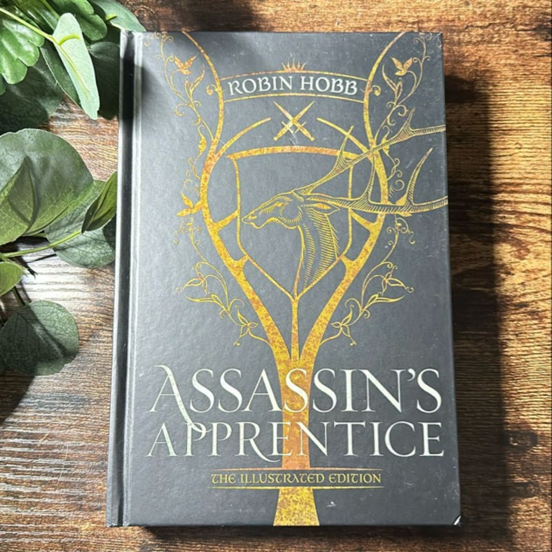 Assassin's Apprentice (the Illustrated Edition)