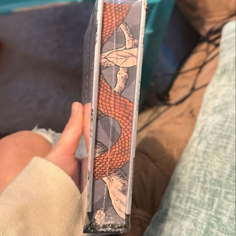*Bookish box* Godly Heathens 