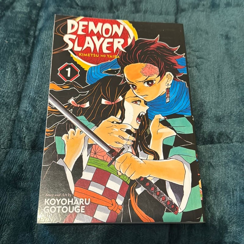 Demon Slayer: Kimetsu No Yaiba, Vol. 1