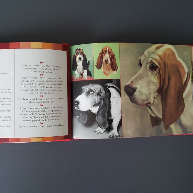 The Red Book of Dogs 1st Edition 
