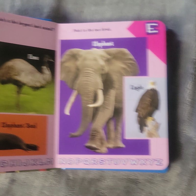 ALIGGATOR TO ZEBRA ABCs