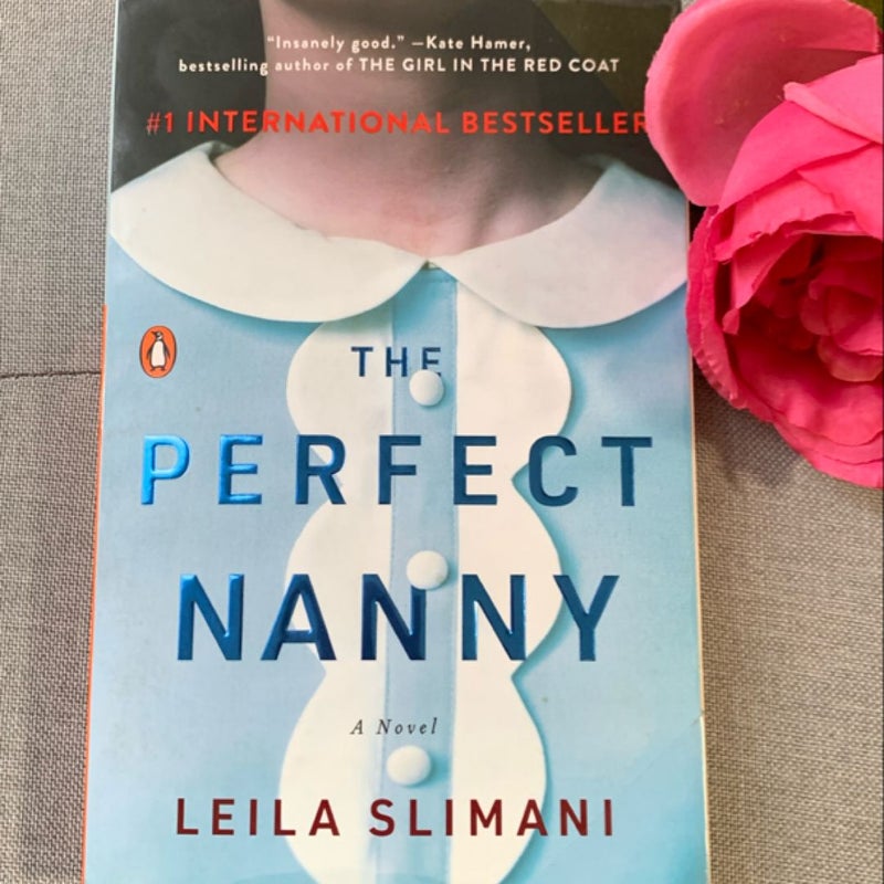 The Perfect Nanny