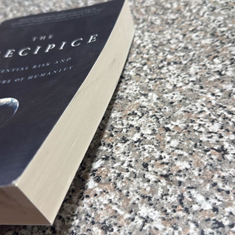 The Precipice