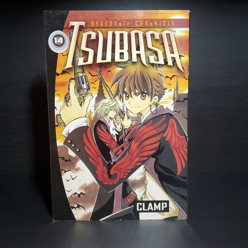 Tsubasa Reservoir Chronicle Volume 14