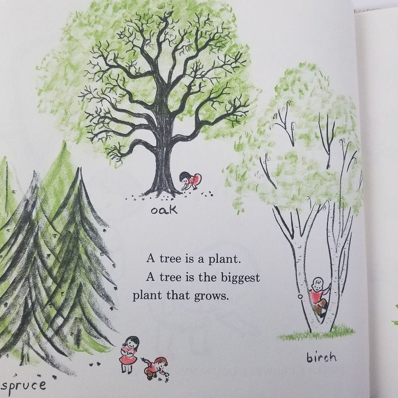 A Tree is a Plant 1960 (Let's Read And Find Out Science)