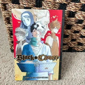 Black Clover, Vol. 17