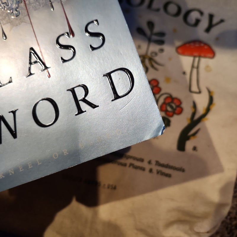 Glass Sword