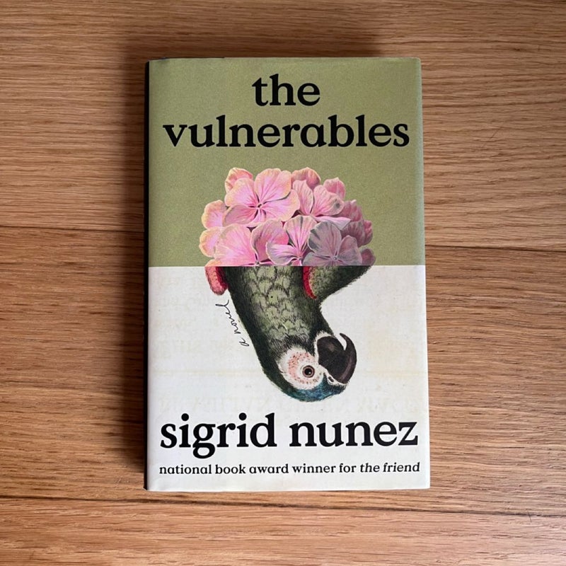 The Vulnerables