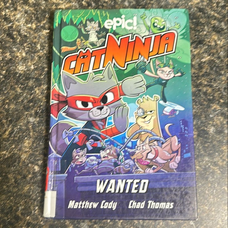 Cat Ninja:Wanted