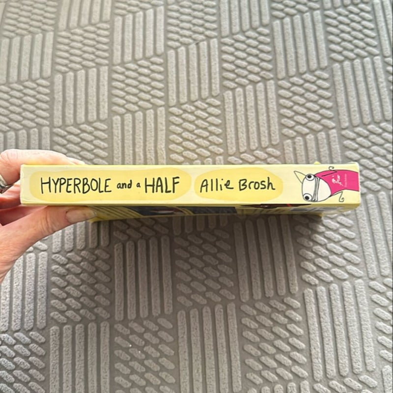 Hyperbole and a Half