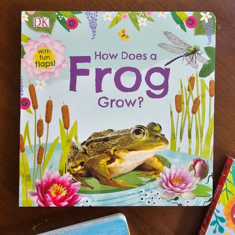 Growing Lift Flap Board Books by DK Set of 3