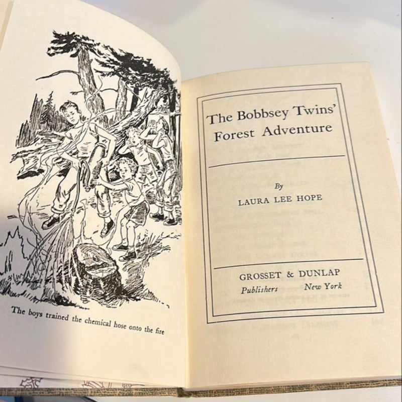 The Bobbsey Twins’ Forest Adventure 