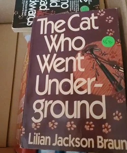 The cat who went underground 