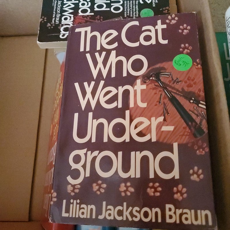 The cat who went underground 