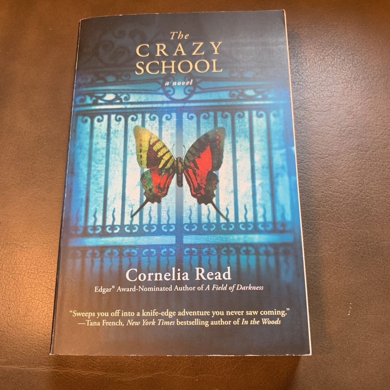 The Crazy School