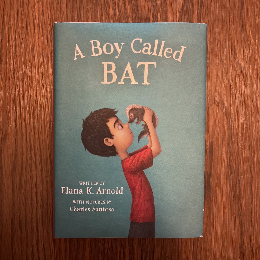 A Boy Called Bat