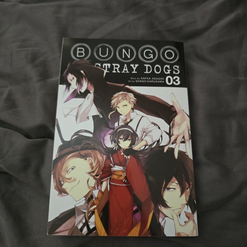 Bungo Stray Dogs, Vol. 3