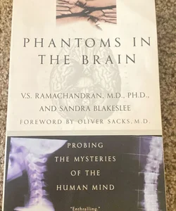 Phantoms in the Brain