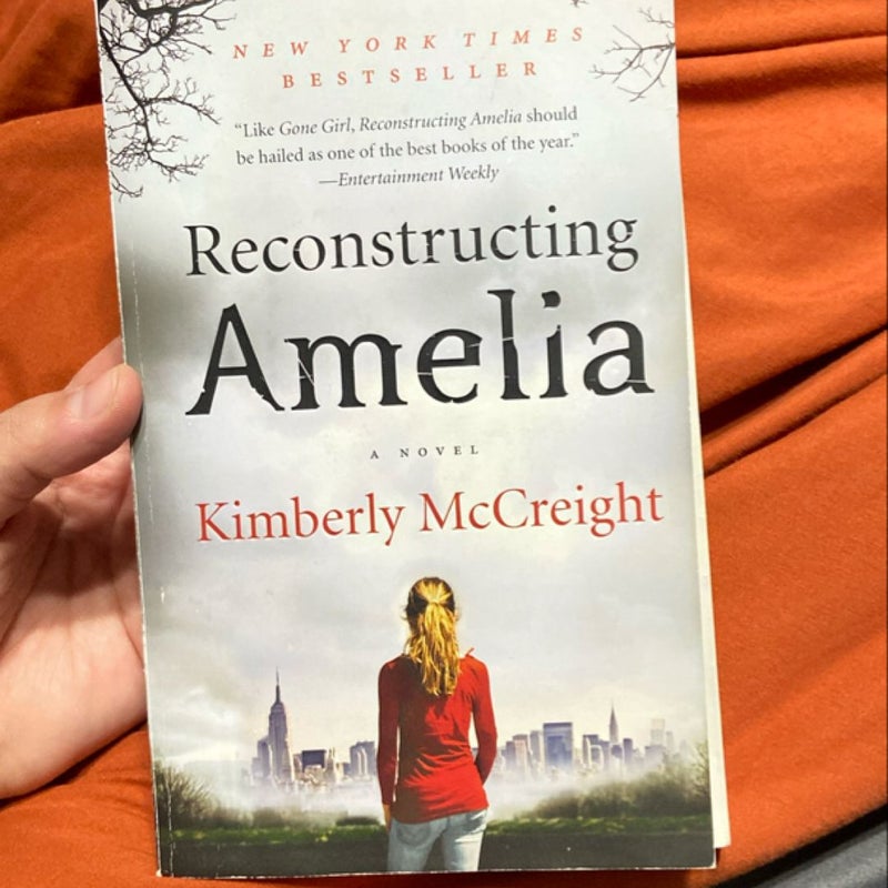 Reconstructing Amelia