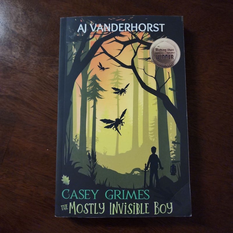 The Mostly Invisible Boy (Casey Grimes)