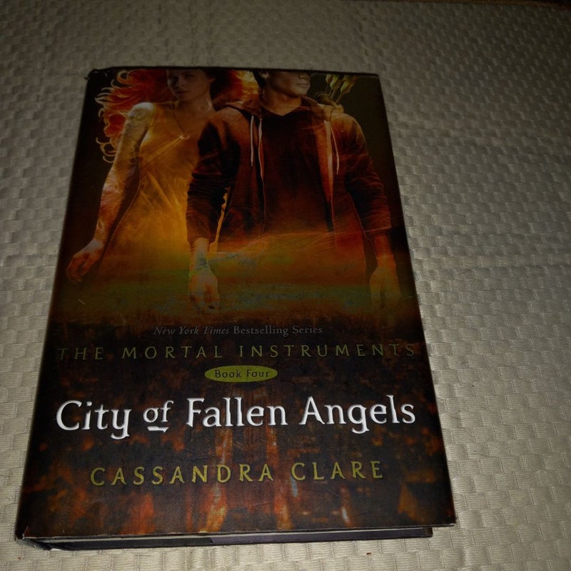 City of Fallen Angels