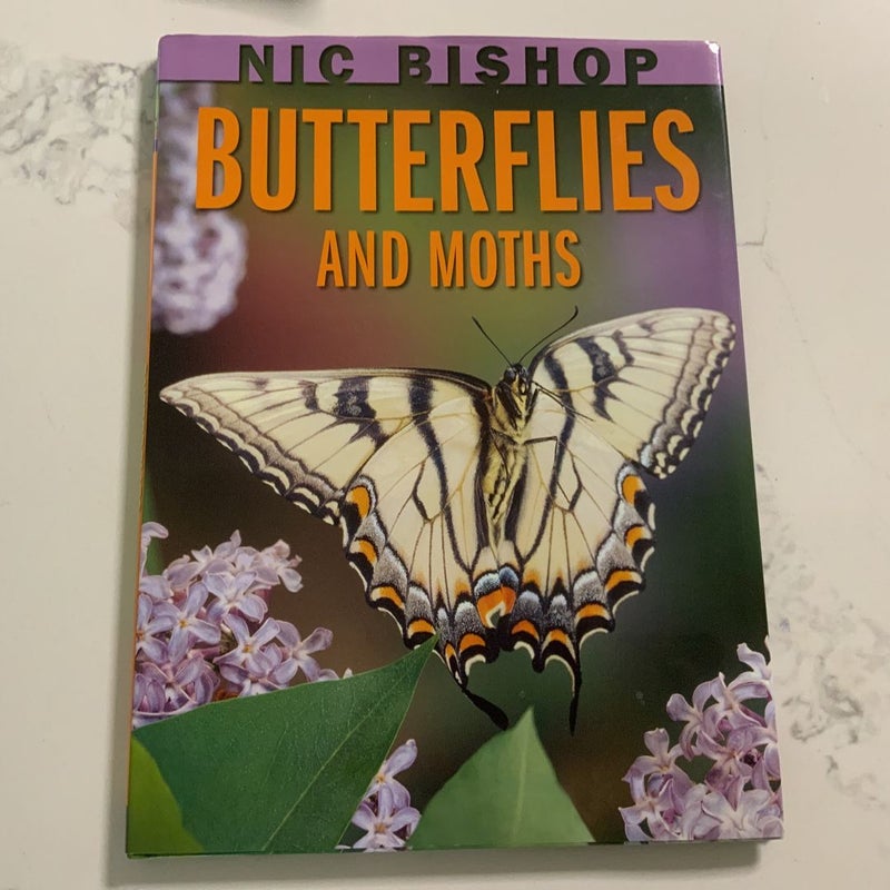 Butterflies and Moths