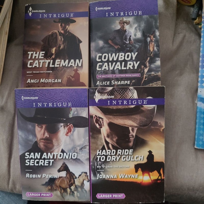 Harlequin Intrique Large Print Bundle