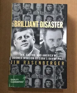 The Brilliant Disaster 30
