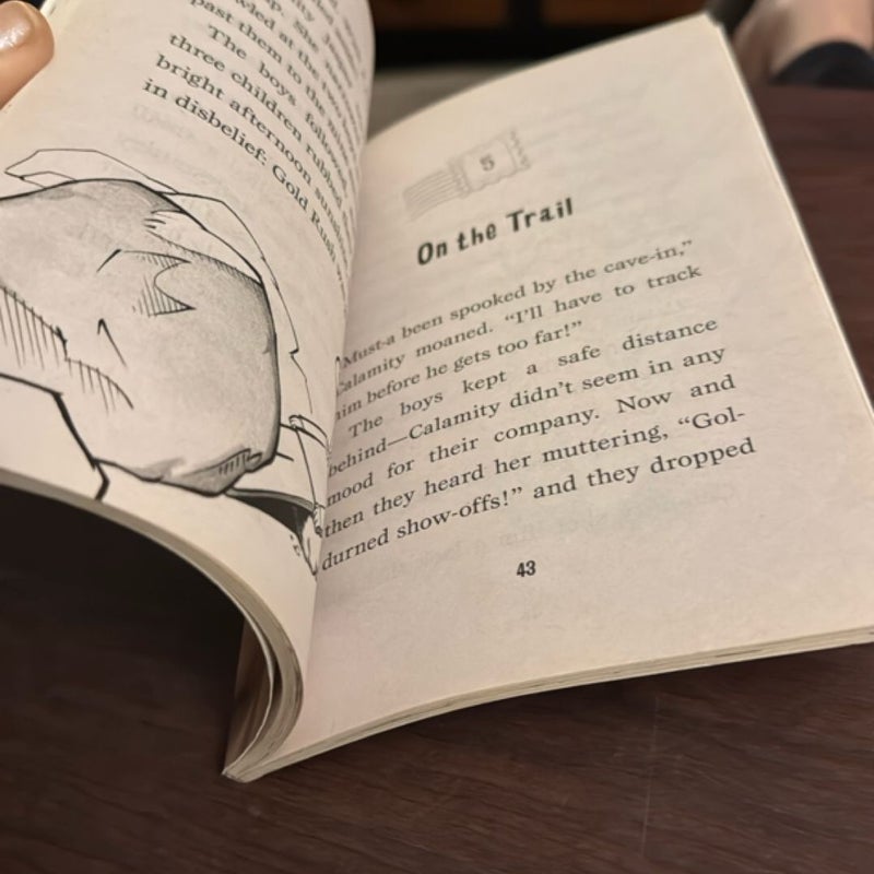 Flat Stanley's Worldwide Adventures #1: the Mount Rushmore Calamity