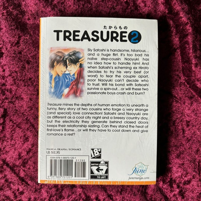 Treasure Volume 2 (Yaoi)