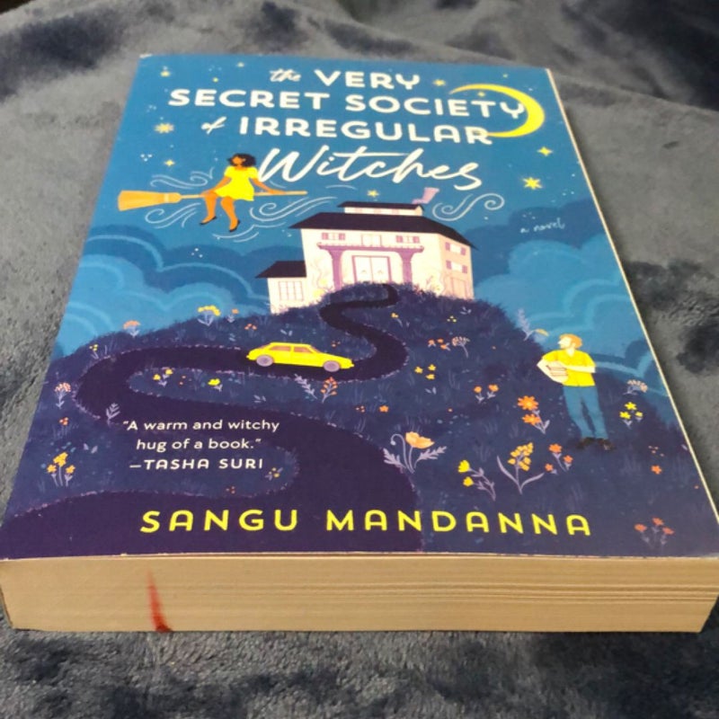 The Very Secret Society of Irregular Witches