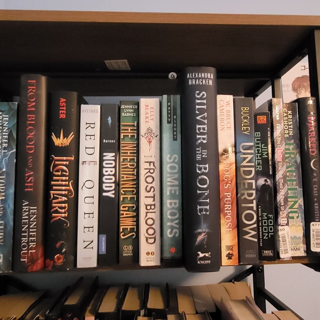 Luminasbookcase