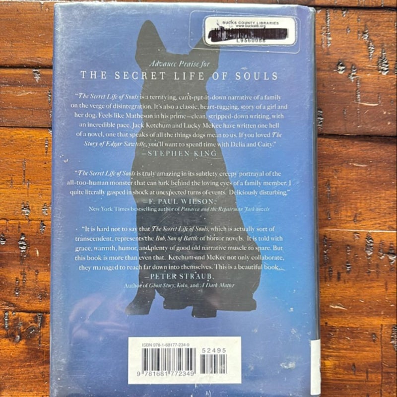 The Secret Life of Souls