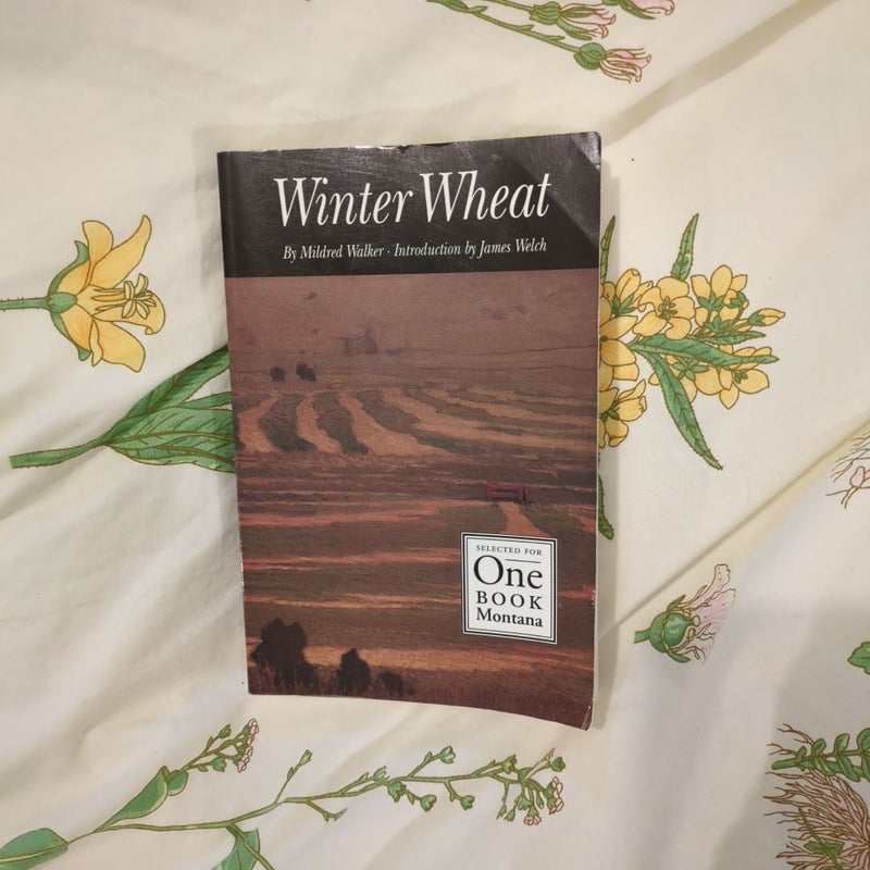 Winter Wheat