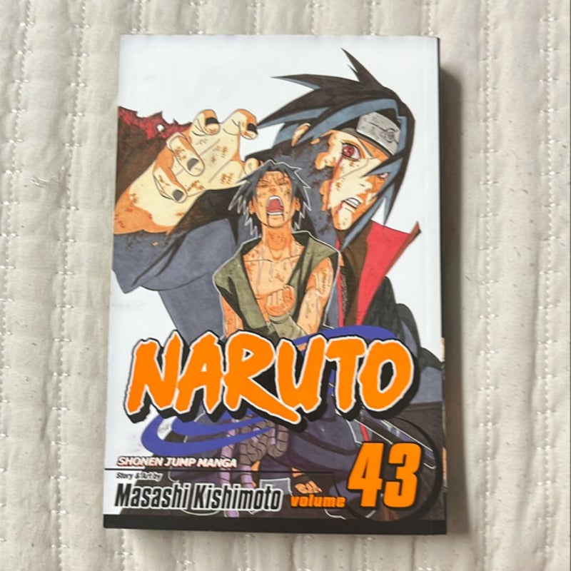 Naruto, Vol. 43