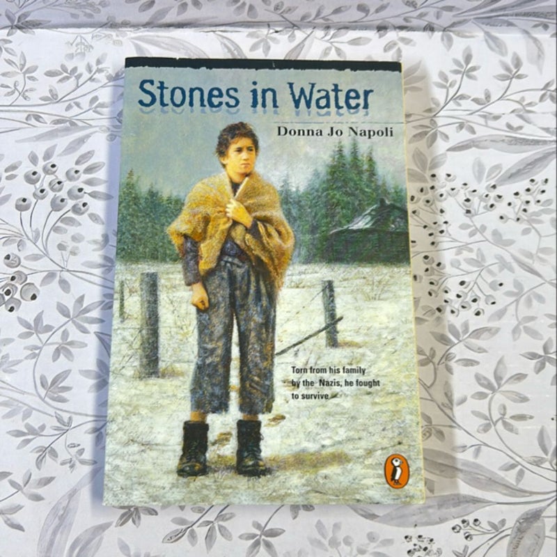 Stones in Water