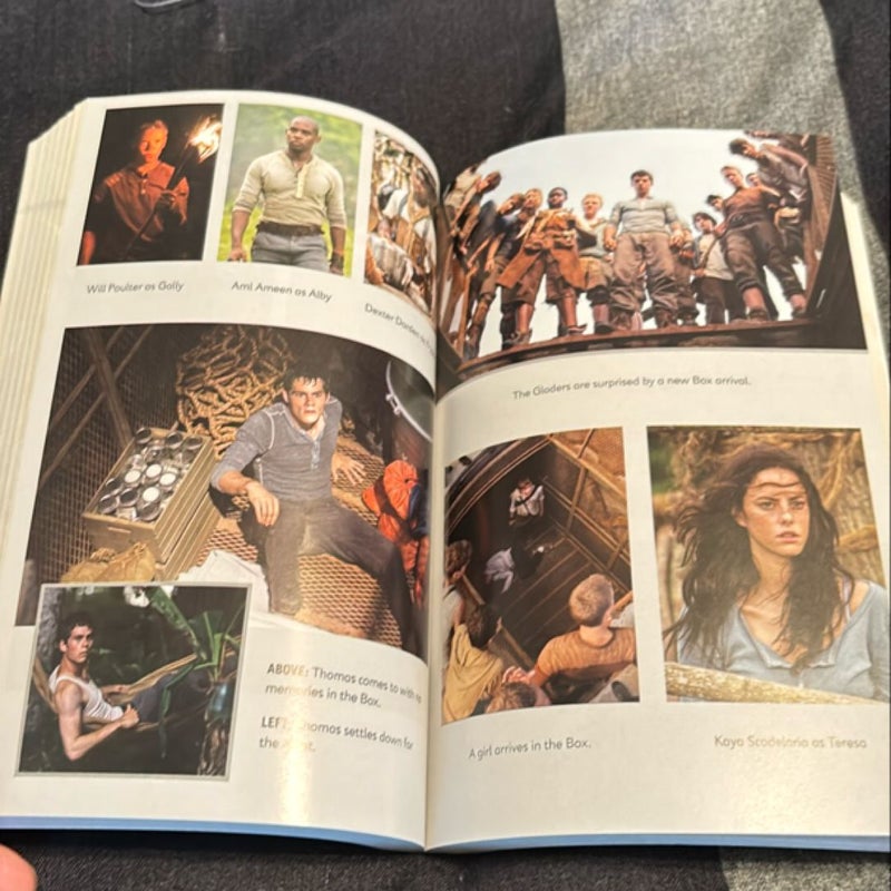 The Maze Runner Movie Tie-In Edition (Maze Runner, Book One)