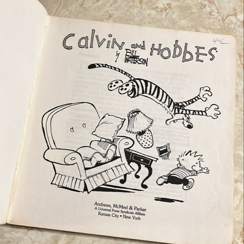 Calvin and Hobbes